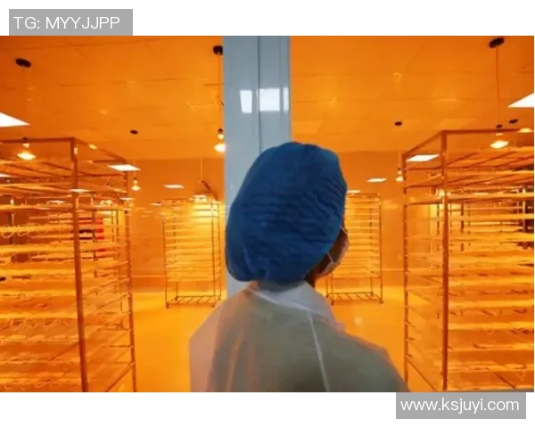 哈麦隆足球明星的辉煌历程与对世界足球的影响分析 哈麦隆足球明星的辉煌历程与对世界足球的影响分析