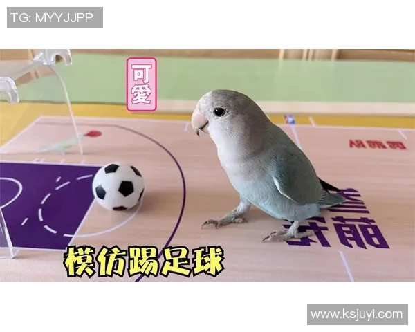 模仿足球明星搞笑恶搞路人瞬间引发围观笑声不断