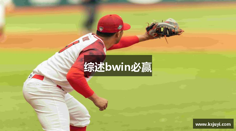 综述bwin必赢
